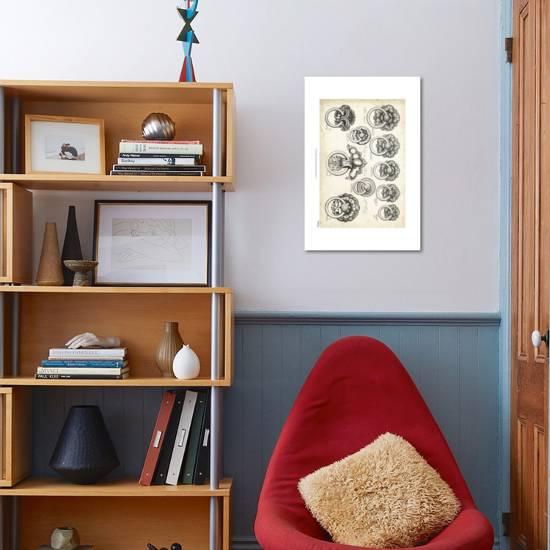 Decorative Hardware Ii Art Print By Vision Studio Art Com