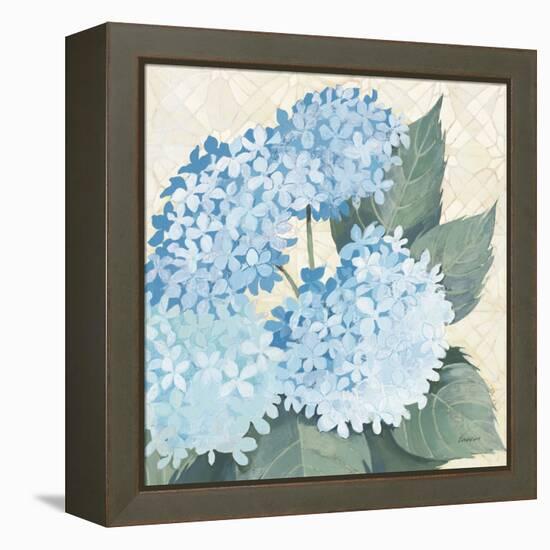 Decorative Hydrangea II Providence-Kathrine Lovell-Framed Stretched Canvas