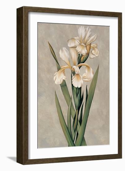 Decorative Irises I-Jill Deveraux-Framed Premium Giclee Print