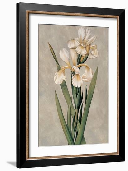 Decorative Irises I-Jill Deveraux-Framed Premium Giclee Print