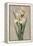 Decorative Irises I-Jill Deveraux-Framed Stretched Canvas