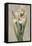 Decorative Irises I-Jill Deveraux-Framed Stretched Canvas