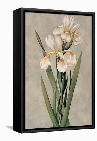 Decorative Irises I-Jill Deveraux-Framed Stretched Canvas