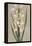 Decorative Irises II-Jill Deveraux-Framed Stretched Canvas