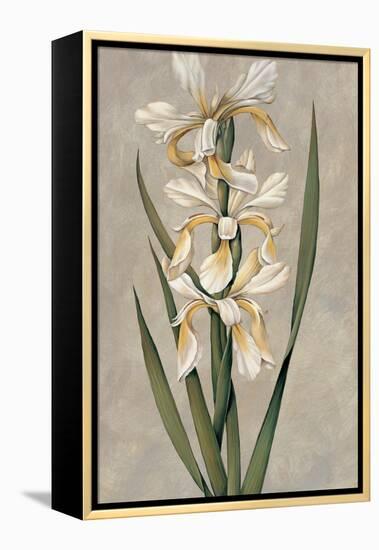 Decorative Irises II-Jill Deveraux-Framed Stretched Canvas
