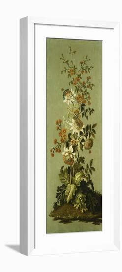 Decorative Panels with Flowers-Jean Baptiste Pillement-Framed Giclee Print