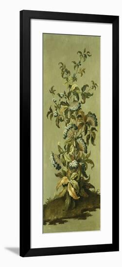 Decorative Panels with Flowers-Jean Baptiste Pillement-Framed Giclee Print