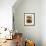 Decorative Pots on Window Balcony, Guanajuato, Mexico-Julie Eggers-Framed Photographic Print displayed on a wall