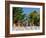 Decorative Potted Plants on Wall, Guanajuato, Mexico-Julie Eggers-Framed Photographic Print