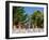 Decorative Potted Plants on Wall, Guanajuato, Mexico-Julie Eggers-Framed Photographic Print