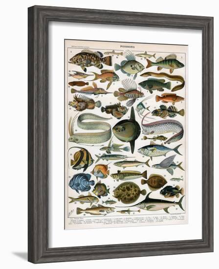 Decorative Print of 'Poissons' by Demoulin, 1897-null-Framed Giclee Print