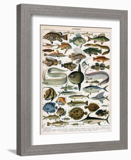 Decorative Print of 'Poissons' by Demoulin, 1897-null-Framed Giclee Print