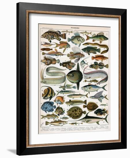 Decorative Print of 'Poissons' by Demoulin, 1897-null-Framed Giclee Print