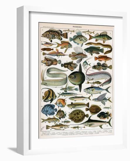 Decorative Print of 'Poissons' by Demoulin, 1897-null-Framed Giclee Print