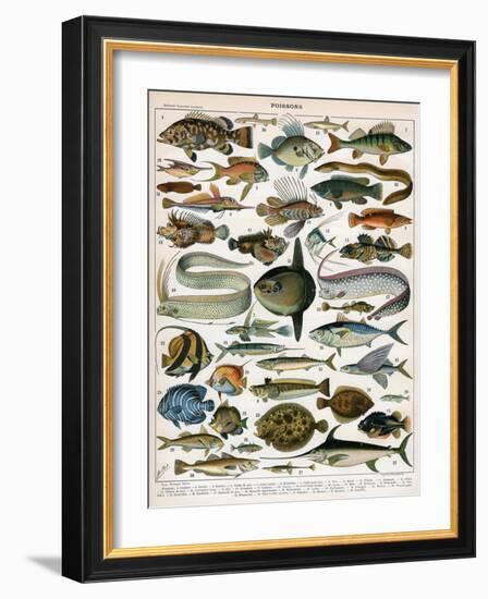 Decorative Print of 'Poissons' by Demoulin, 1897-null-Framed Giclee Print