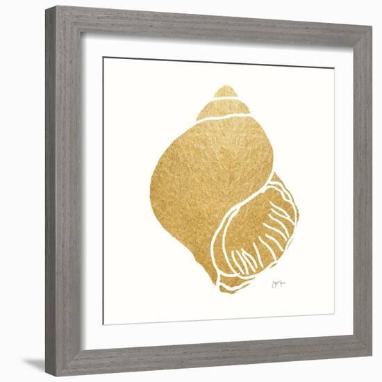 Decorative Shell I-Janet Tava-Framed Art Print