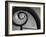 Decorative Spiral, Made by Eternit Co, at Brussels World's Fair-Michael Rougier-Framed Photographic Print