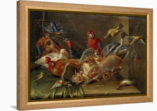 Decorative Still-Life Composition with Birds and Two Bats-Jan van Kessel the Elder-Framed Premier Image Canvas