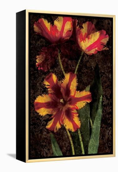 Decorative Tulips I-John Seba-Framed Stretched Canvas