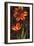 Decorative Tulips II-John Seba-Framed Premium Giclee Print