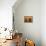 Decorative Vessel Still Life II-Lanie Loreth-Framed Stretched Canvas displayed on a wall