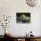 Decorative Wagon and Pumpkin, Ste. Genevieve, Missouri, USA-Walter Bibikow-Photographic Print displayed on a wall