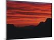 Photographic Print