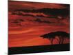 Premium Photographic Print