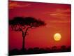 Premium Photographic Print