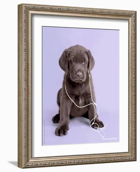 Deejay-Rachael Hale-Framed Art Print