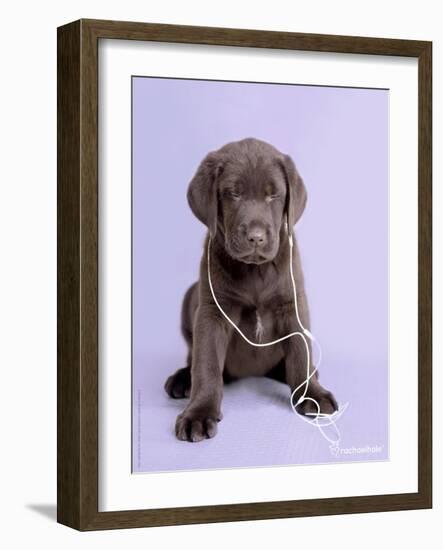 Deejay-Rachael Hale-Framed Art Print