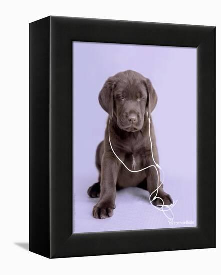 Deejay-Rachael Hale-Framed Premier Image Canvas