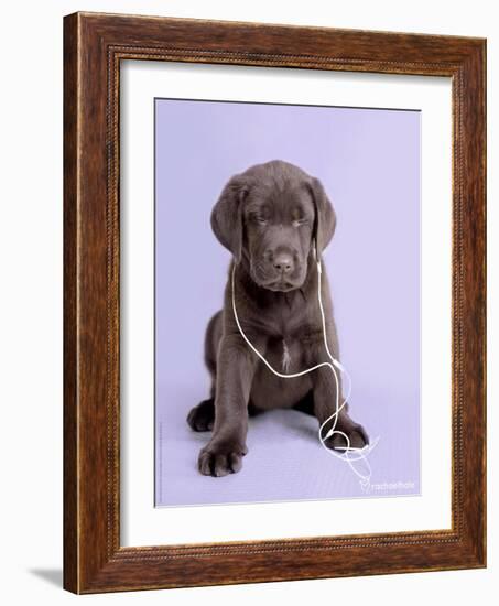 Deejay-Rachael Hale-Framed Photographic Print