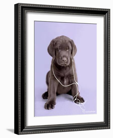 Deejay-Rachael Hale-Framed Photographic Print