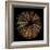 Deep 1: Brown Sea Urchin-Doris Mitsch-Framed Photographic Print