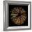 Deep 1: Brown Sea Urchin-Doris Mitsch-Framed Photographic Print