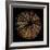 Deep 1: Brown Sea Urchin-Doris Mitsch-Framed Photographic Print