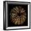 Deep 1: Brown Sea Urchin-Doris Mitsch-Framed Photographic Print