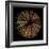 Deep 1: Brown Sea Urchin-Doris Mitsch-Framed Photographic Print