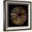 Deep 1: Brown Sea Urchin-Doris Mitsch-Framed Photographic Print