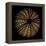 Deep 1: Brown Sea Urchin-Doris Mitsch-Framed Premier Image Canvas