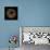 Deep 1: Brown Sea Urchin-Doris Mitsch-Framed Premier Image Canvas displayed on a wall