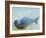 Deep, 2003-Mark Adlington-Framed Giclee Print