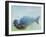 Deep, 2003-Mark Adlington-Framed Giclee Print