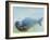 Deep, 2003-Mark Adlington-Framed Giclee Print