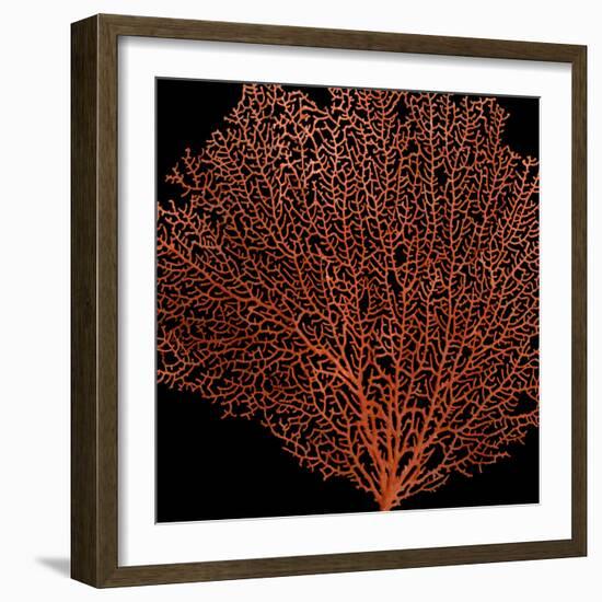 Deep 4: Red Fan Coral-Doris Mitsch-Framed Photographic Print