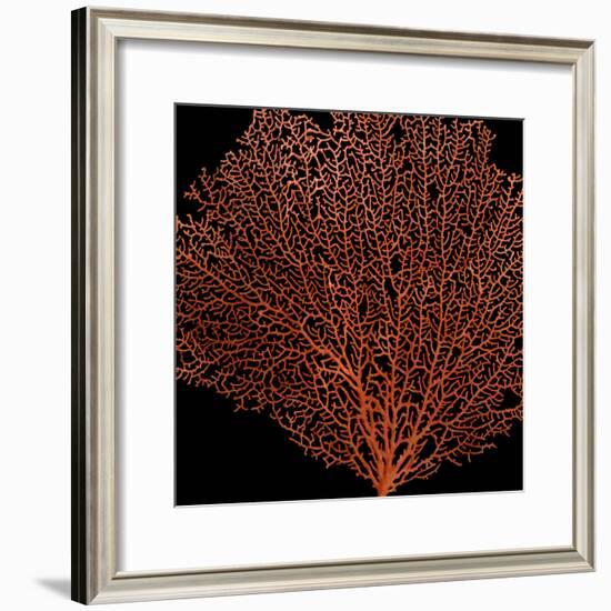 Deep 4: Red Fan Coral-Doris Mitsch-Framed Photographic Print