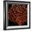 Deep 4: Red Fan Coral-Doris Mitsch-Framed Photographic Print