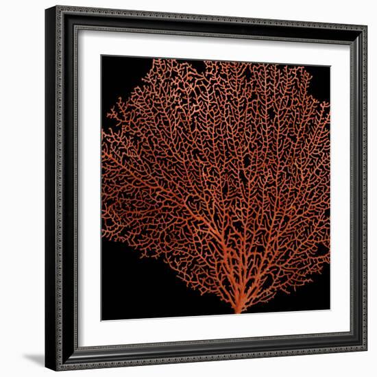 Deep 4: Red Fan Coral-Doris Mitsch-Framed Photographic Print