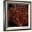 Deep 4: Red Fan Coral-Doris Mitsch-Framed Photographic Print